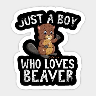 Just A Boy Who Loves Beaver Sticker